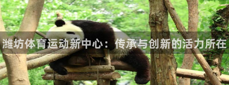 利记官方正版app娱乐：潍坊体育运动新中心：传承与创
