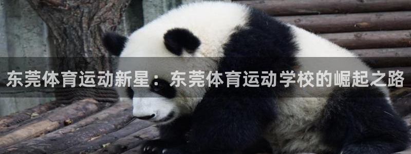 利记官方正版app集团官网网址：东莞体育运动新星：东
