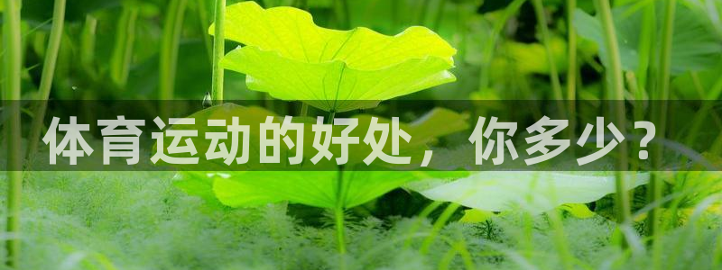 利记官方正版app开户：体育运动的好处，你多少？