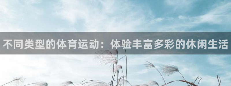利记官方正版app官方：不同类型的体育运动：体验丰富