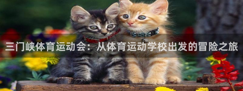 注册利记官方正版app：三门峡体育运动会：从体育运动
