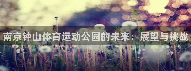 利记官方正版app科技：南京钟山体育运动公园的未来：展望与挑