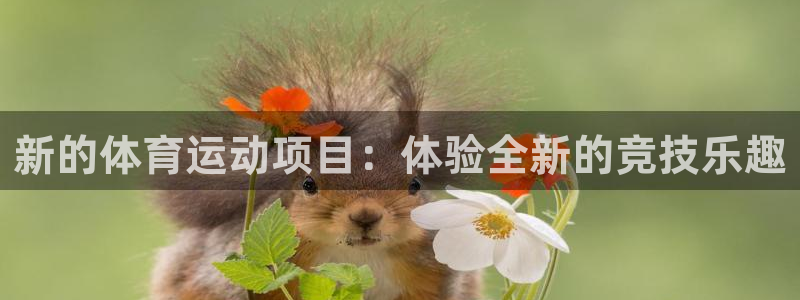利记官方正版app娱乐：新的体育运动项目：体验全新的