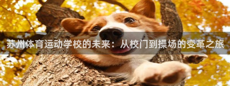 利记官网下载招商电话号码：苏州体育运动学校的未来：从校门到操