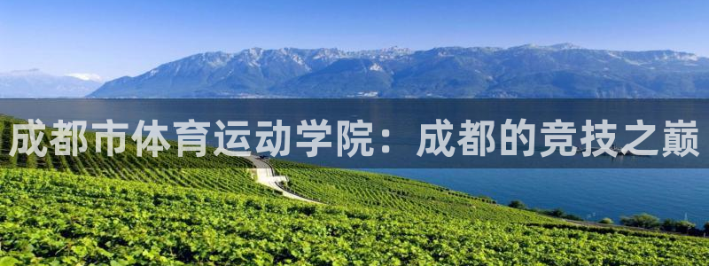 利记官方正版app娱乐是那个系列的台子：成都市体育运
