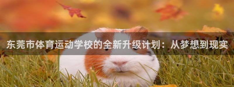 利记官网下载平台APP：东莞市体育运动学校的全新升级