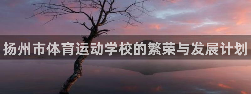 利记官网下载招商电话：扬州市体育运动学校的繁荣与发展