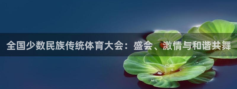 利记官方正版app神州：全国少数民族传统体育大会：盛