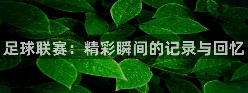利记官网下载平台假的吗是真的吗：足球联赛：精彩瞬间的