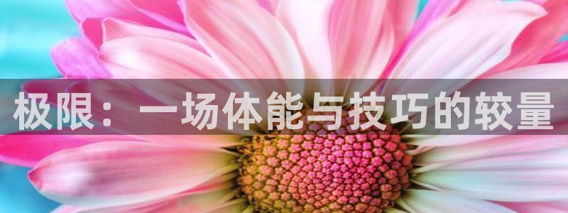 利记官网下载招商电话地址查询：极限：一场体能与技巧的较量