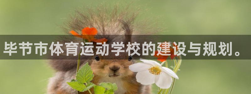 利记官网下载注册：毕节市体育运动学校的建设与规划。
