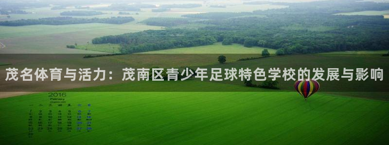 利记官方正版app集团简介：茂名体育与活力：茂南区青少年足球