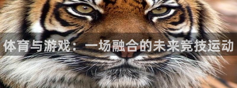 利记官网下载招商电话地址：体育与游戏：一场融合的未来