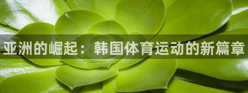 利记官网下载开户：亚洲的崛起：韩国体育运动的新篇章