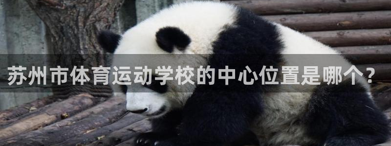利记官方正版app新能源：苏州市体育运动学校的中心位置是哪个