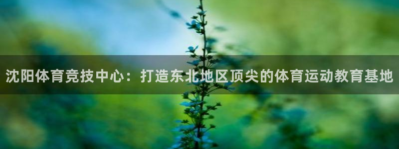 利记sbobet：沈阳体育竞技中心：