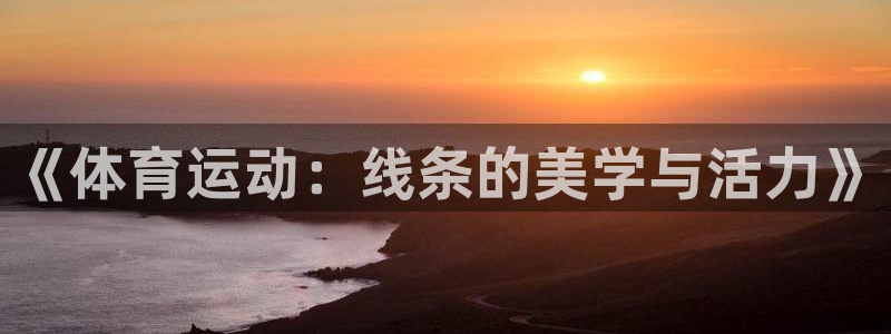 利记现场娱乐：《体育运动：线条的美学