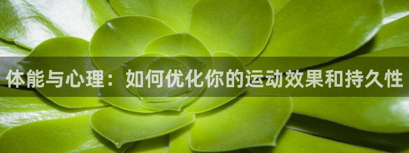 利记现场娱乐：体能与心理：如何优化你