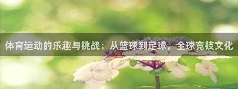 利记代理备用网址：体育运动的乐趣与挑